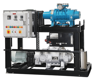 dry screw with booster