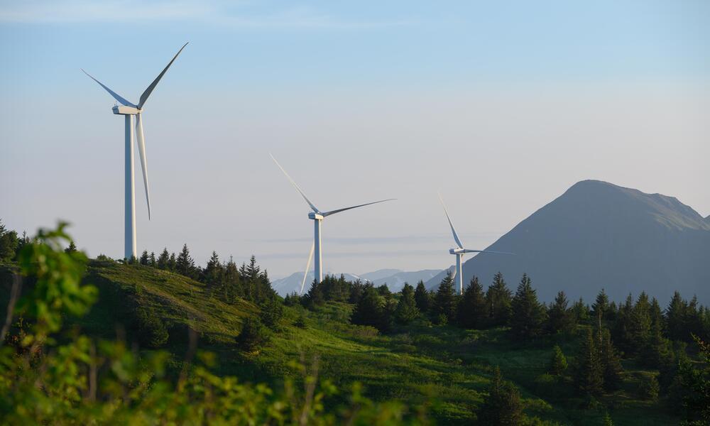 pillar-climate-action pillar-climate-action